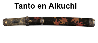 tanto aikuchi